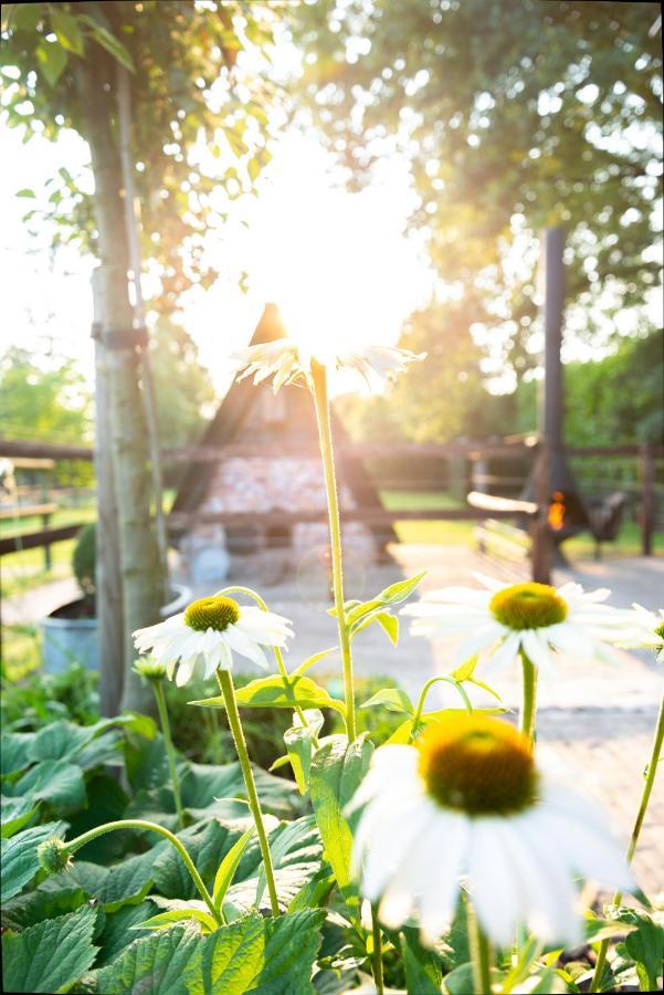 Bed En Breakfast Puur8A Duizel ภายนอก รูปภาพ